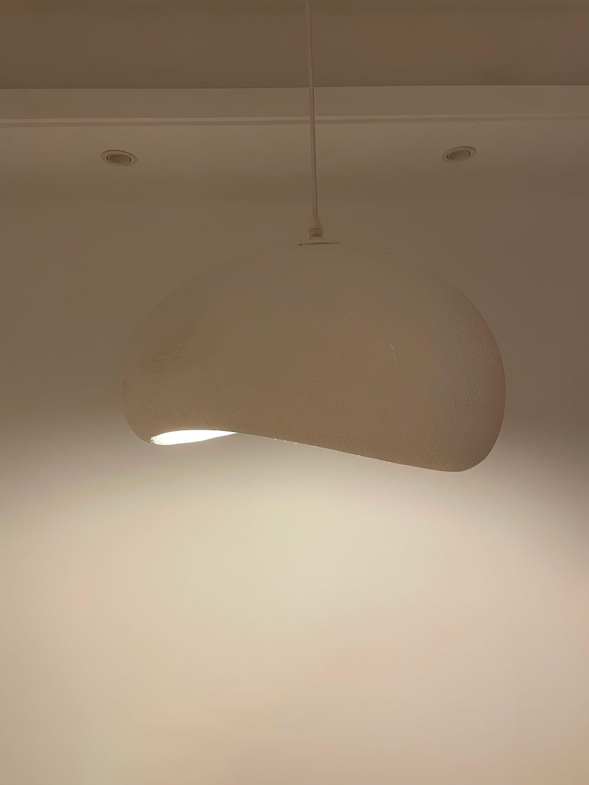 Soft Texture Organic Curved Pendant Light