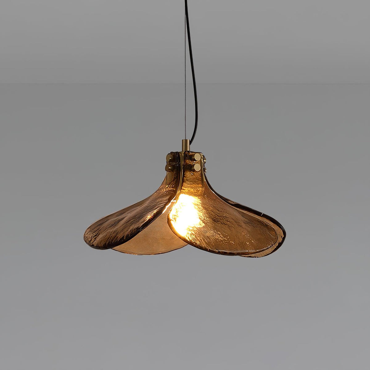 Glass Shade Brass Pendant Light