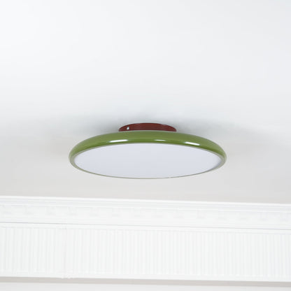 Adjustable Bedroom and Living Rooms Colourful Ceiling Light