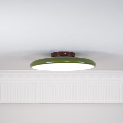 Adjustable Bedroom and Living Rooms Colourful Ceiling Light