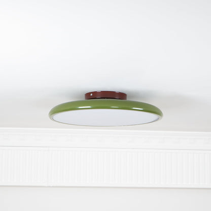 Adjustable Bedroom and Living Rooms Colourful Ceiling Light