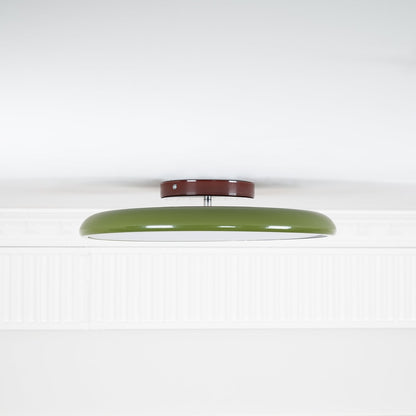 Adjustable Bedroom and Living Rooms Colourful Ceiling Light