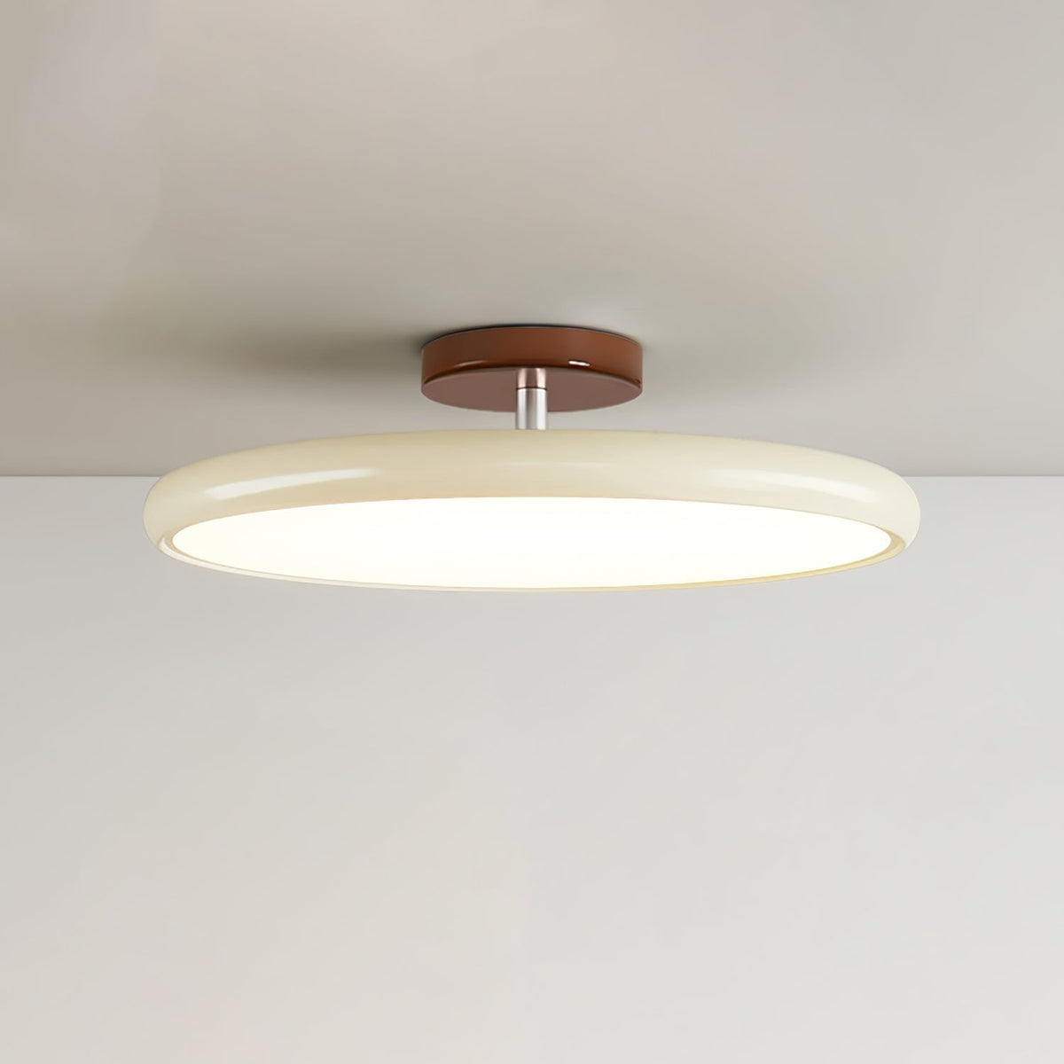 Adjustable Bedroom and Living Rooms Colourful Ceiling Light
