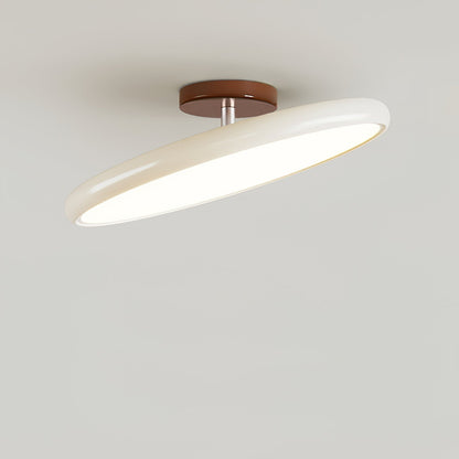Adjustable Bedroom and Living Rooms Colourful Ceiling Light