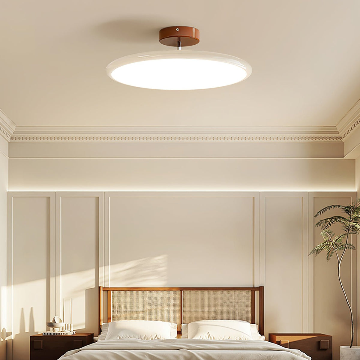Adjustable Bedroom and Living Rooms Colourful Ceiling Light