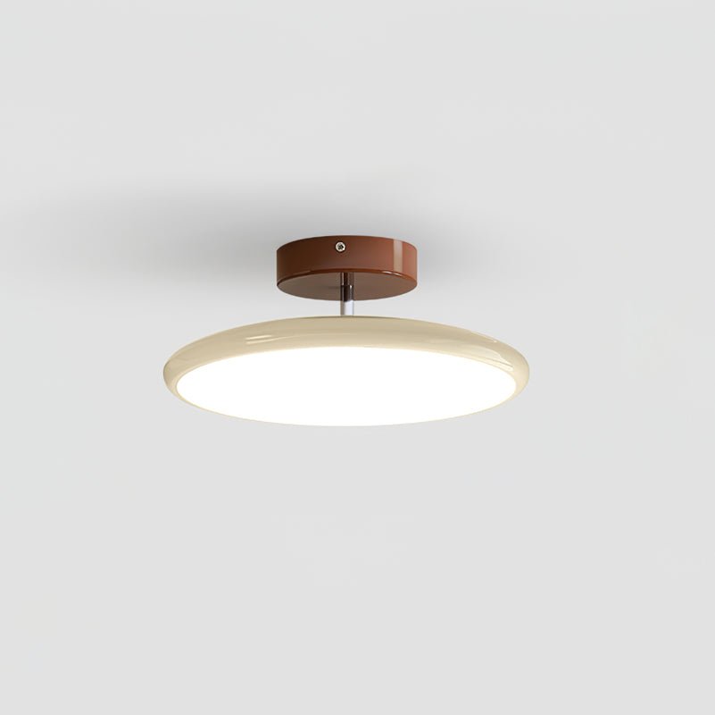 Adjustable Bedroom and Living Rooms Colourful Ceiling Light