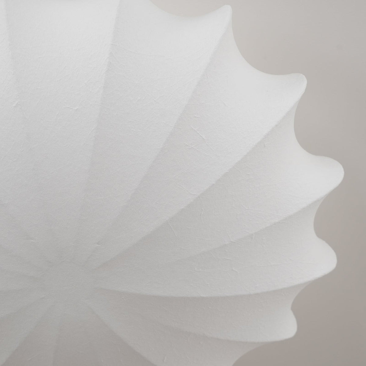 Ceiling Light With Etched Finish Inspired Seashell
