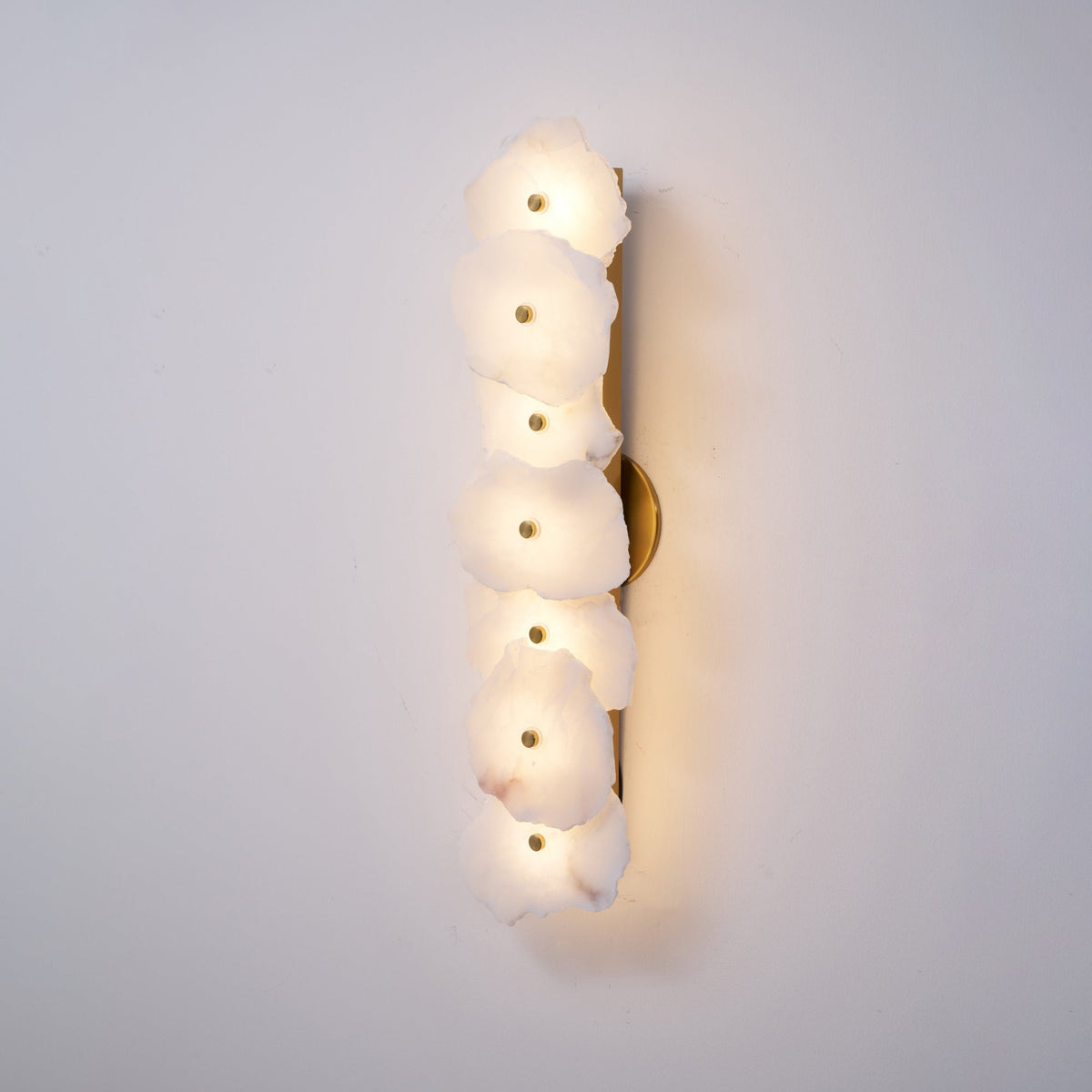 Soft LED Light Alabaster Floral Wall Lamp