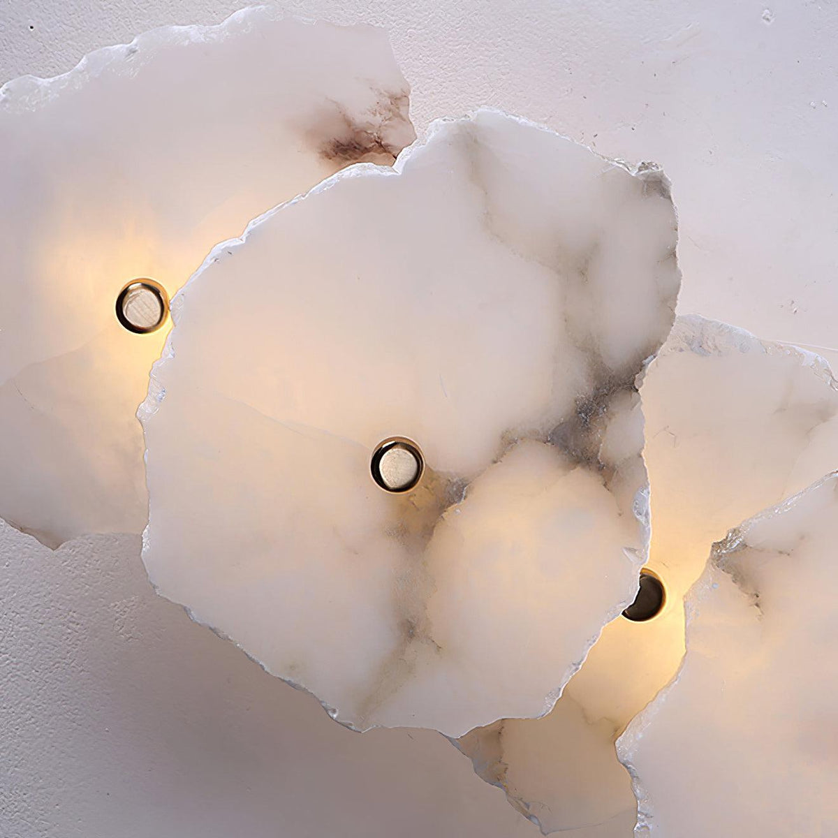 Soft LED Light Alabaster Floral Wall Lamp