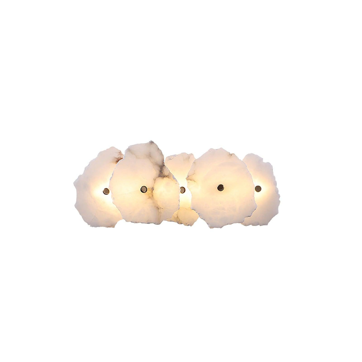 Soft LED Light Alabaster Floral Wall Lamp