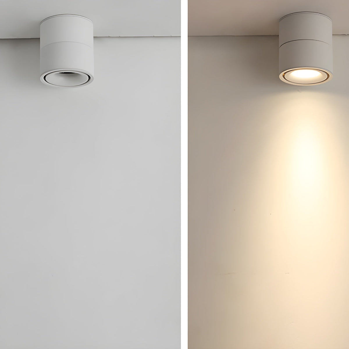 Adjustable Head Ceiling Spotlight Circular Flush Mount