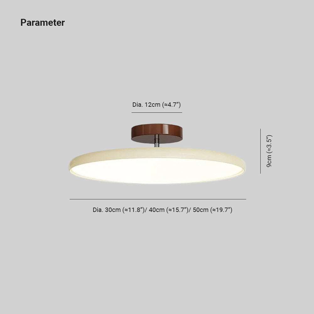 Adjustable Bedroom and Living Rooms Colourful Ceiling Light