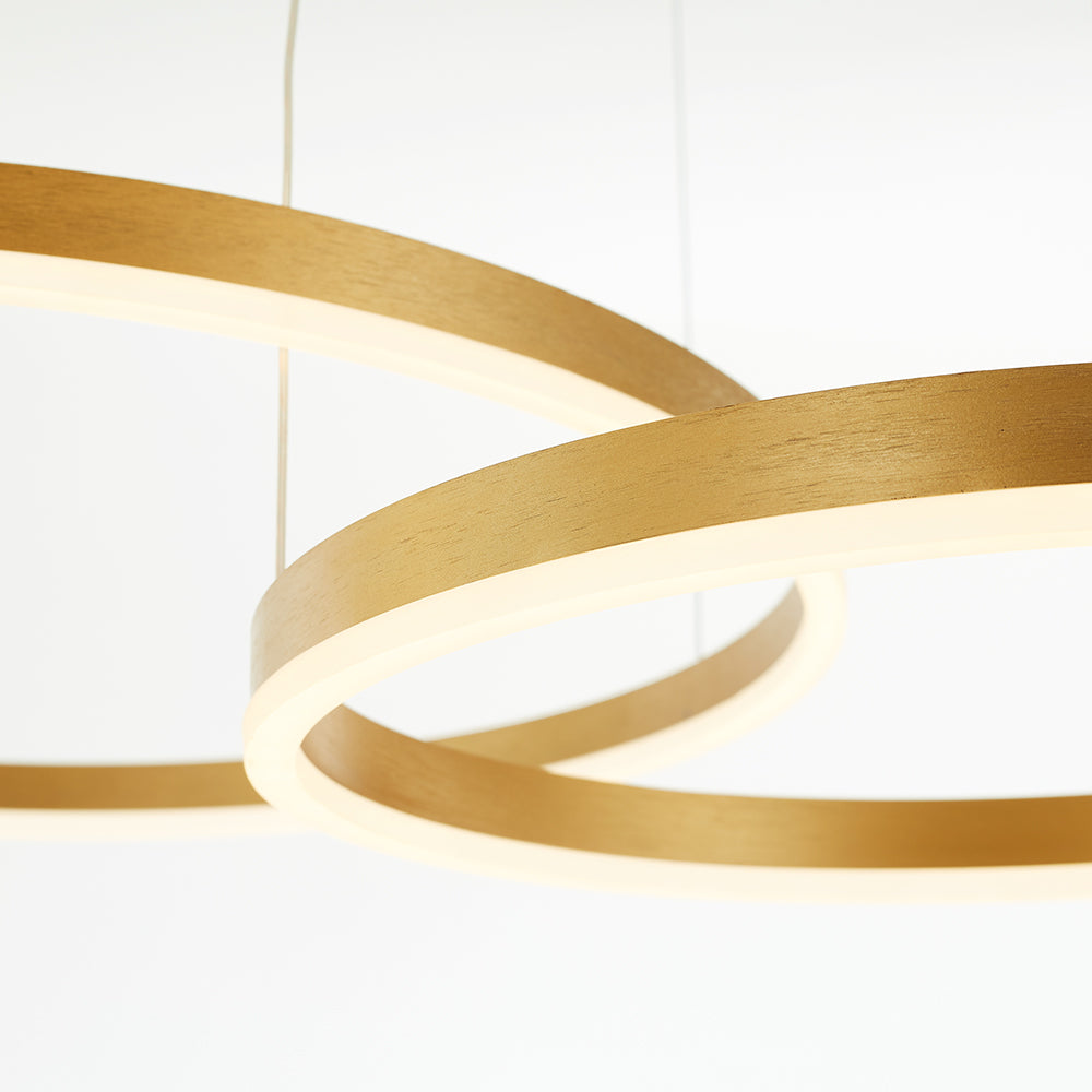 Dimmable Light With Tir Circle Pendant Lamp