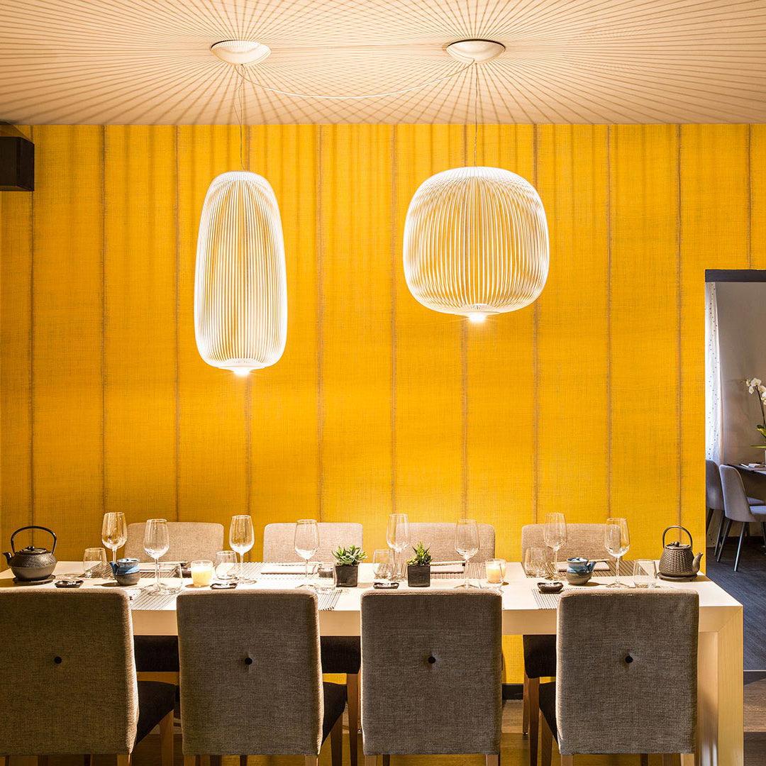 Pendant Light Cage Aero Spokes With Integrated LED