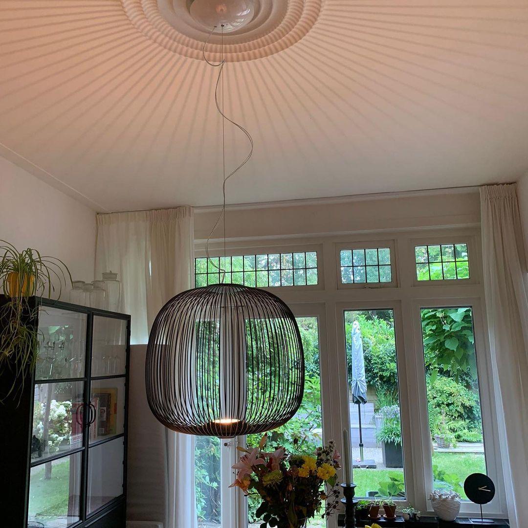 Pendant Light Cage Aero Spokes With Integrated LED