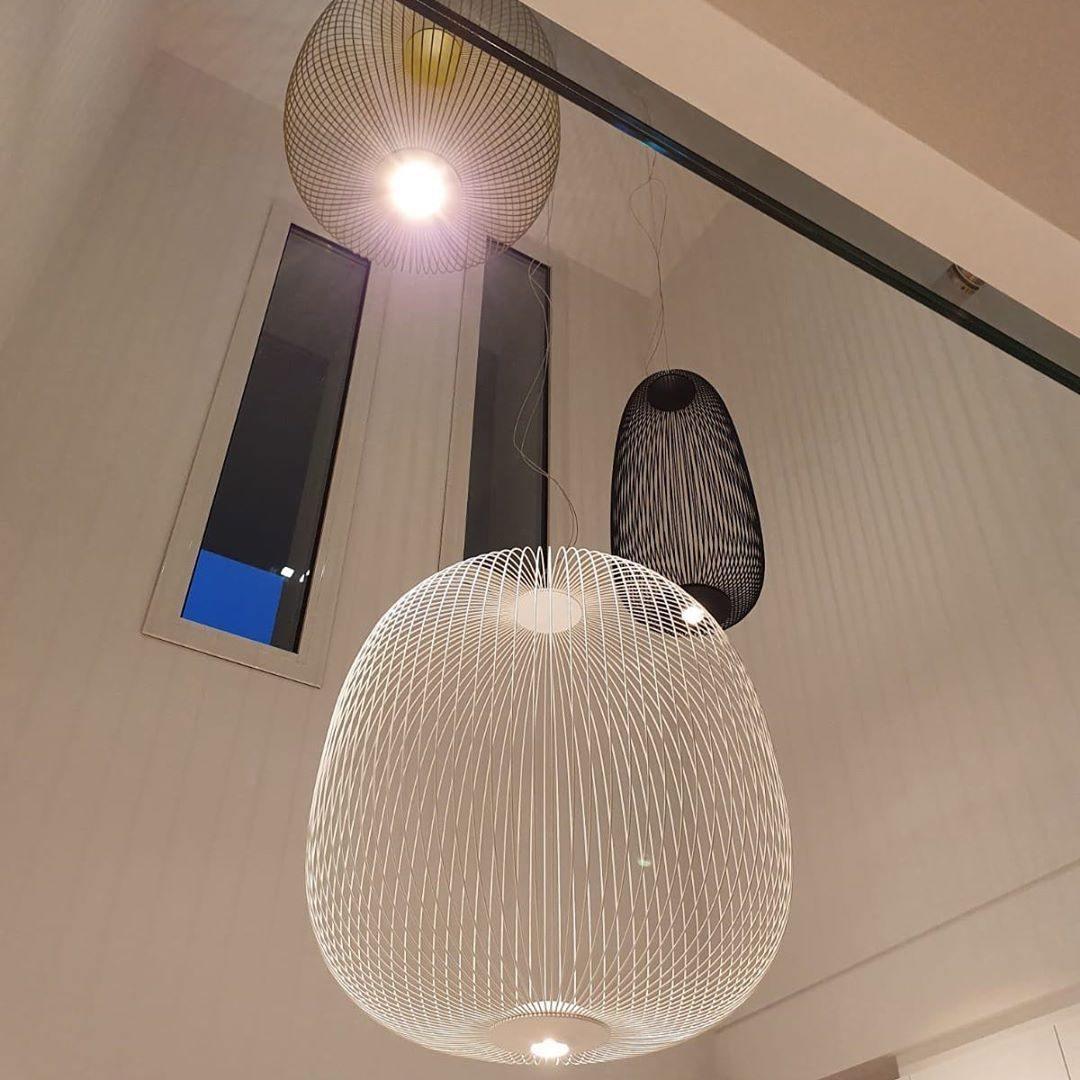 Pendant Light Cage Aero Spokes With Integrated LED