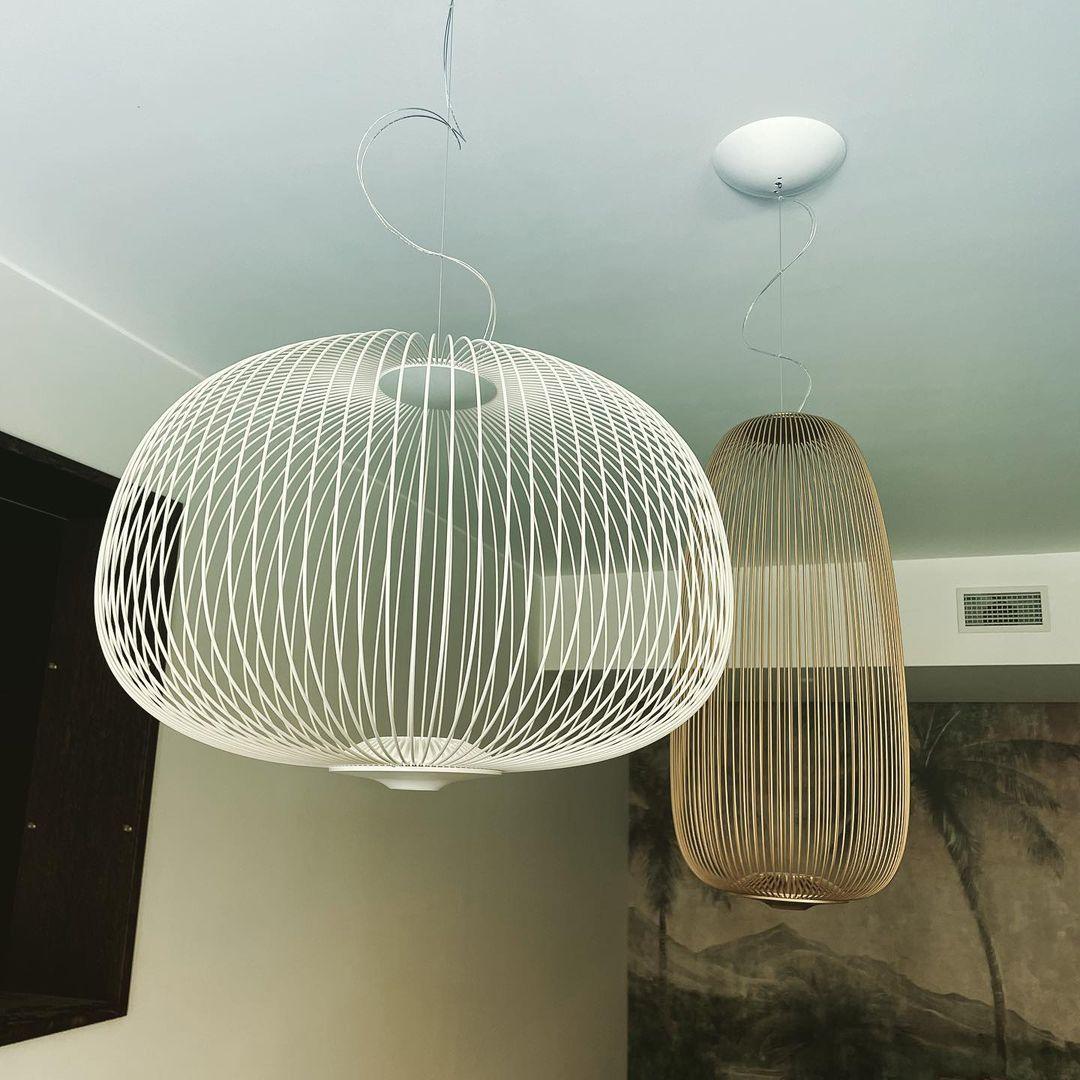 Pendant Light Cage Aero Spokes With Integrated LED