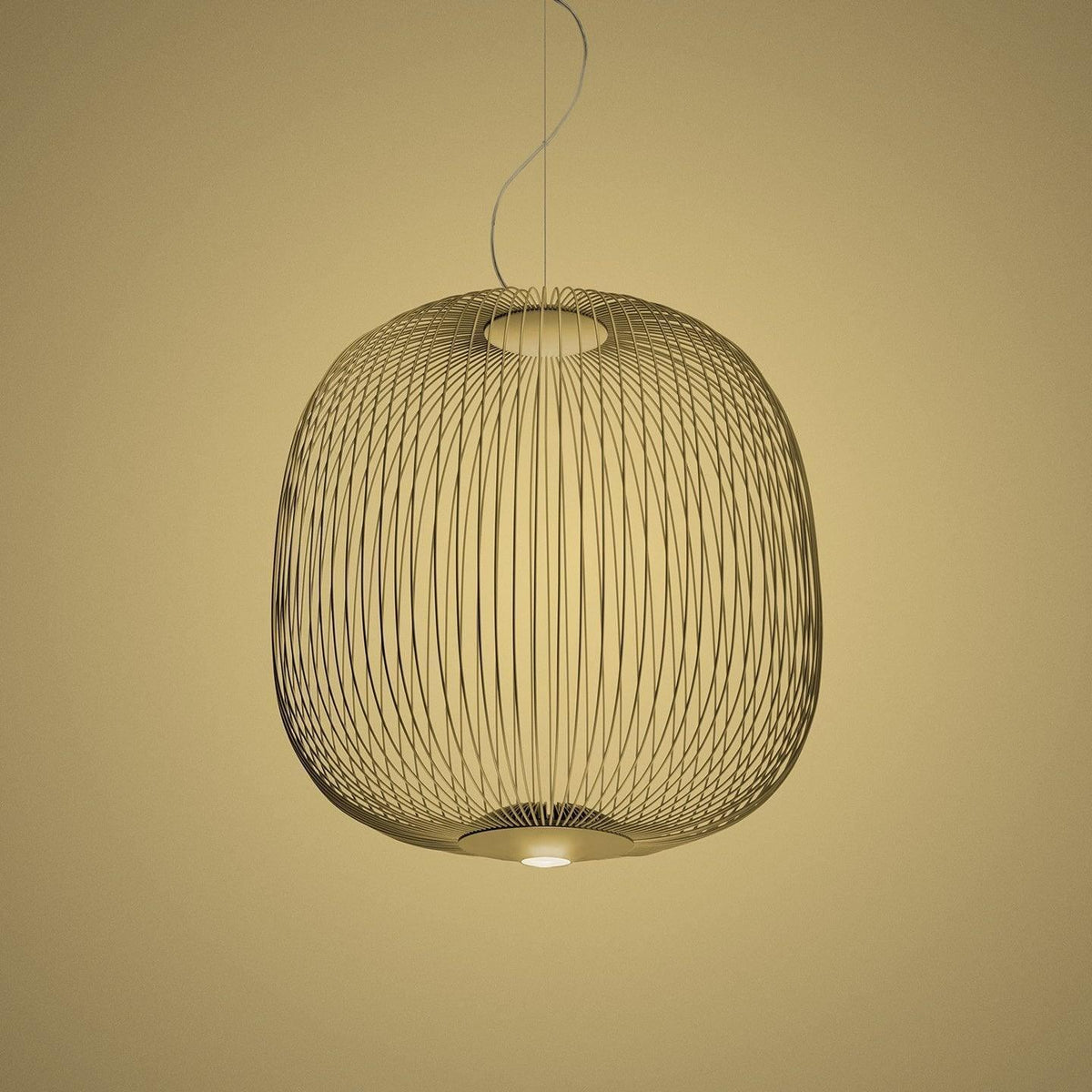 Pendant Light Cage Aero Spokes With Integrated LED