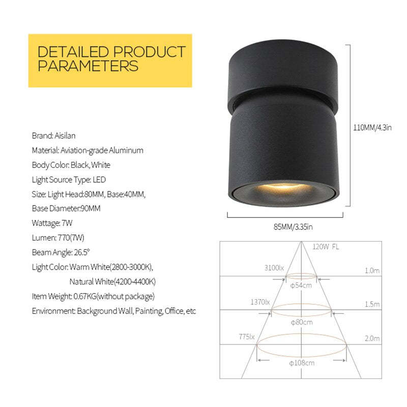 Modern LED Flush Mount Ceiling Light Black White AuroraEdge