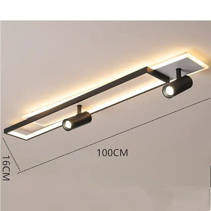 Matte Black Double Panel Adjustable Ceiling Spotlight